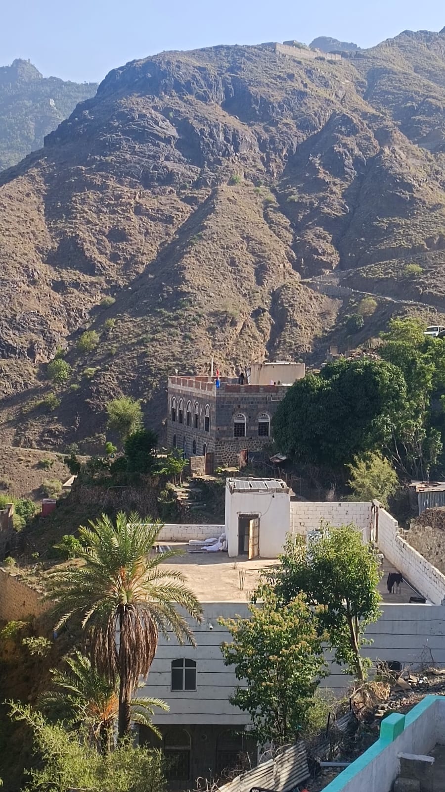 صورة